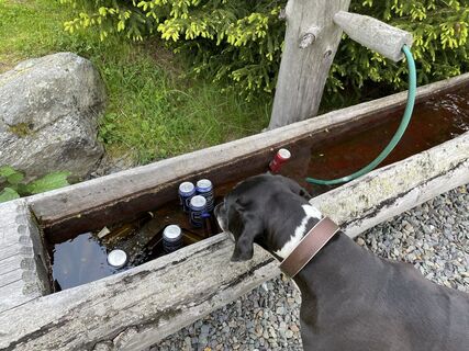 Fotografija s spletne strani Thorsten Schulze na poti