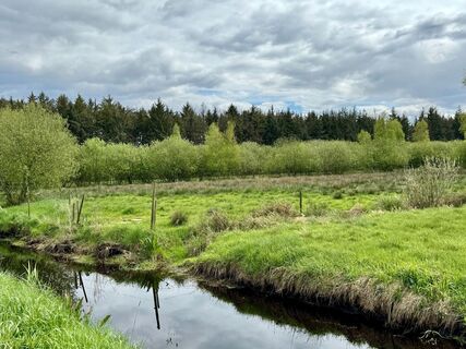 Wanderweg W4 - Neuklosterwanderweg