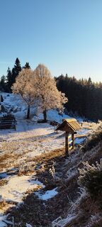 Photo de veronika bozic le long du parcours