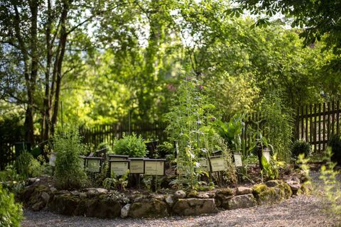 Kräuterschnecke im Kurpark Aflenz