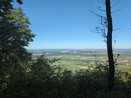 Foto de FabianGisel a lo largo del recorrido