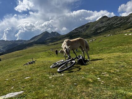 Foto von Stefano “Iddo” entlang der Tour