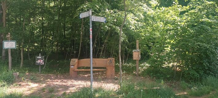 Start in Neunkirchen