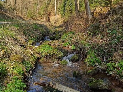 Entlang am Lengenbach