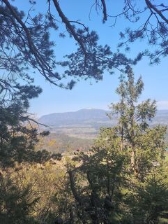 Foto fra Franz G. underveis på turen