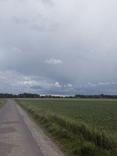 Foto de Lisa Düppre a lo largo del recorrido