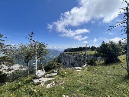 Foto da Lillo Condello lungo il tour