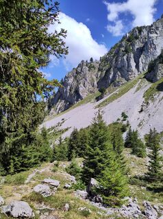 Photo de King Kong le long du parcours
