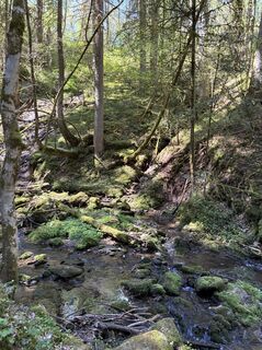 Photo de Kristina  1 le long du parcours