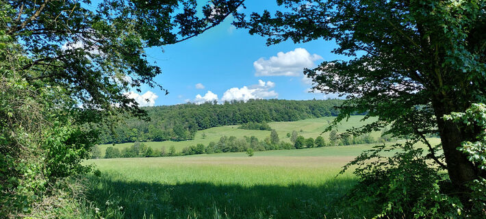 Wanderweg Ferne Horizonte
