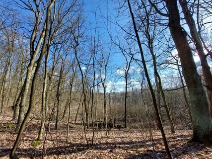 Photo from Maren Auer along the tour