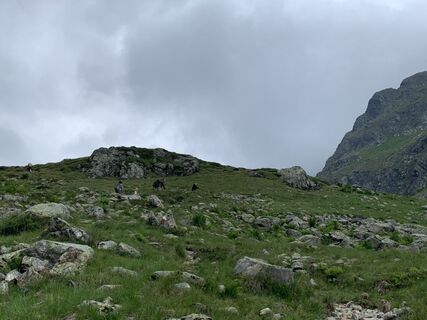 Foto fra Koen De Wit undervejs på turen