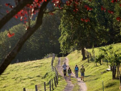Auf Wanderung