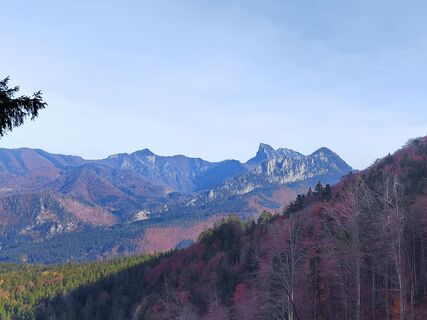 Fotografija s spletne strani ReginaSt na poti