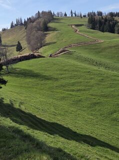 Zdjęcie z Sven wzdłuż trasy