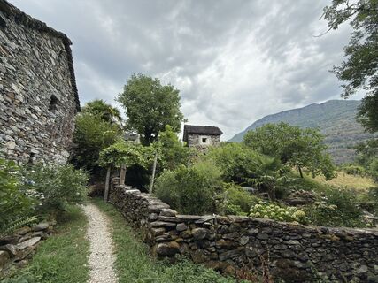 Photo de Koen De Wit le long du parcours