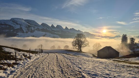 Fotografija s spletne strani alinradu na poti