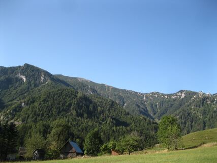 Hinternaßwald - Grenzriegel - Amaißbichl