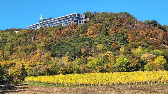 Foto da Regina Fleischmann lungo il tour