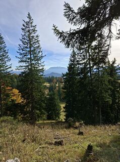 Foto från Oliver Vecera under resans gång
