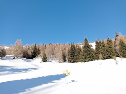 Foto von Aner entlang der Tour