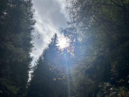 Foto von Jürgen Szeibert entlang der Tour