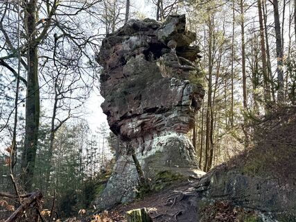 Foto von Norbert Herbig entlang der Tour