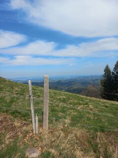 Fotografia z mosi mönä na trase