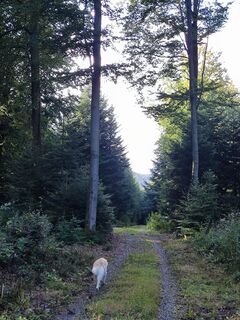 Foto von Essida entlang der Tour