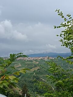Foto van Elisabeth Sieberer langs de tour