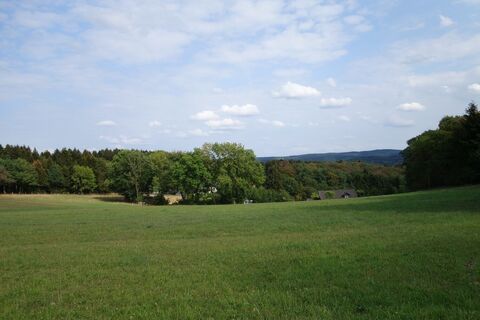 Grüne Wiesen und Wälder