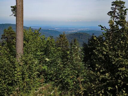 Aussicht von der Hahnenfalzhütte