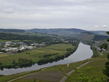 Foto von Mayer entlang der Tour