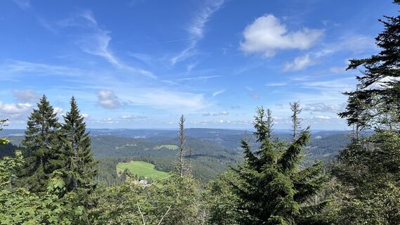 Foto från Volki F. under resans gång
