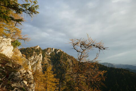 Blick zum Geierkogel