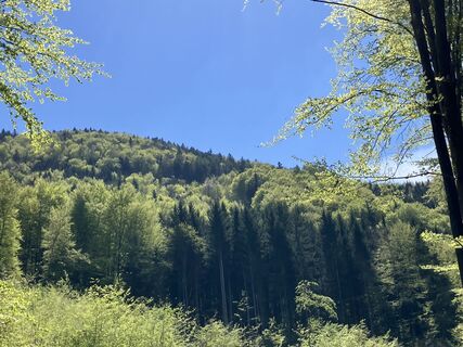 Foto von Meinrad Föger entlang der Tour