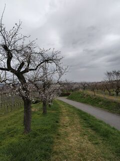 Foto von Poschacher entlang der Tour