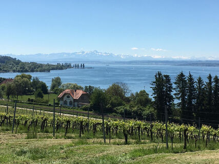 Blick auf Maurach und Unteruhldingen