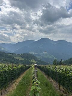 Foto von Andreas S. 7 entlang der Tour