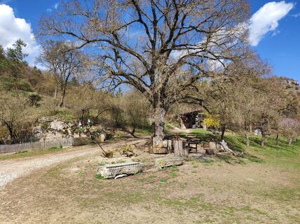 Zdjęcie z Peter Bauridl wzdłuż trasy