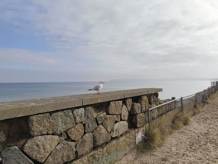 Foto de Jürgen Neun 2 a lo largo del recorrido
