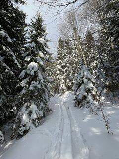 Photo de Helmut Schlenz le long du parcours