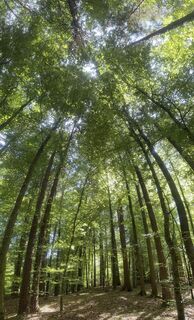 Photo de Barbara Rechberger le long du parcours