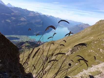 Höhenwanderung Brienzer Rothorn