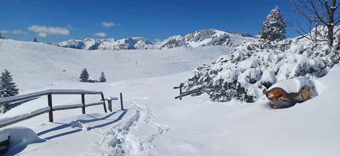 Foto von Janez Perko entlang der Tour