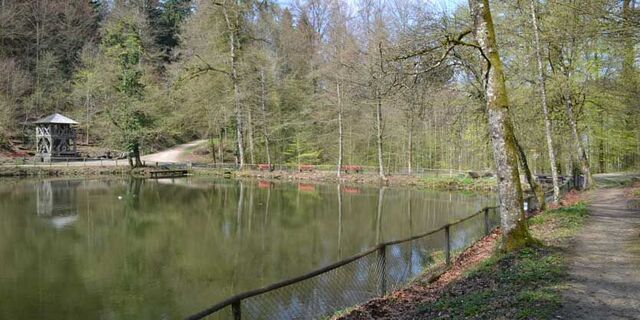 Gebiet Fünfweiher