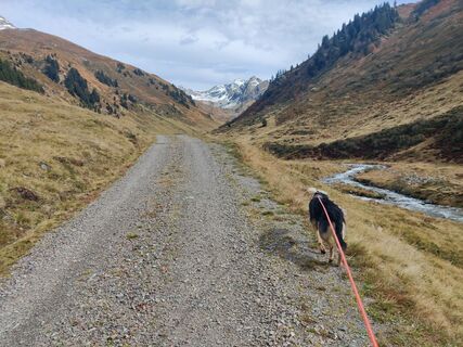 Photo de Xenia Lange le long du parcours