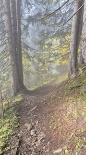 Photo de Nicole Hesse le long du parcours