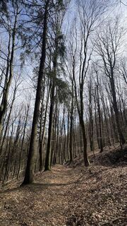 Fotografie z Richard Vlcek na trase