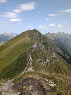 Fotografija s spletne strani Dimitri Friesen na poti